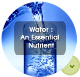 Water-A Essential Nutrient